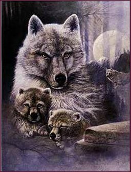 Wolf print